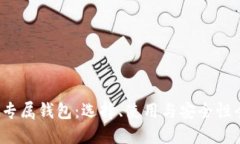  比特币专属钱包：选择、